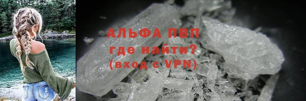 сатива Баксан