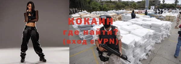сатива Баксан