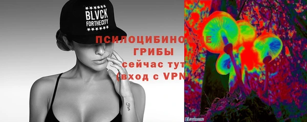 сатива Баксан