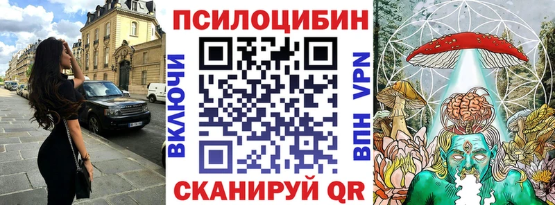 продажа наркотиков  Зеленокумск  Псилоцибиновые грибы ЛСД 